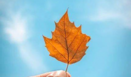 娱乐圈吃瓜感慨句子图片,揭秘明星背后的故事